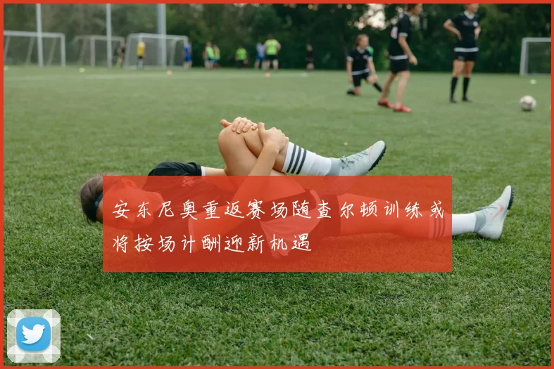 安东尼奥重返赛场随查尔顿训练或将按场计酬迎新机遇