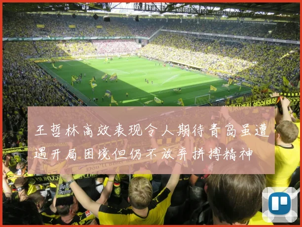 王哲林高效表现令人期待青岛虽遭遇开局困境但仍不放弃拼搏精神