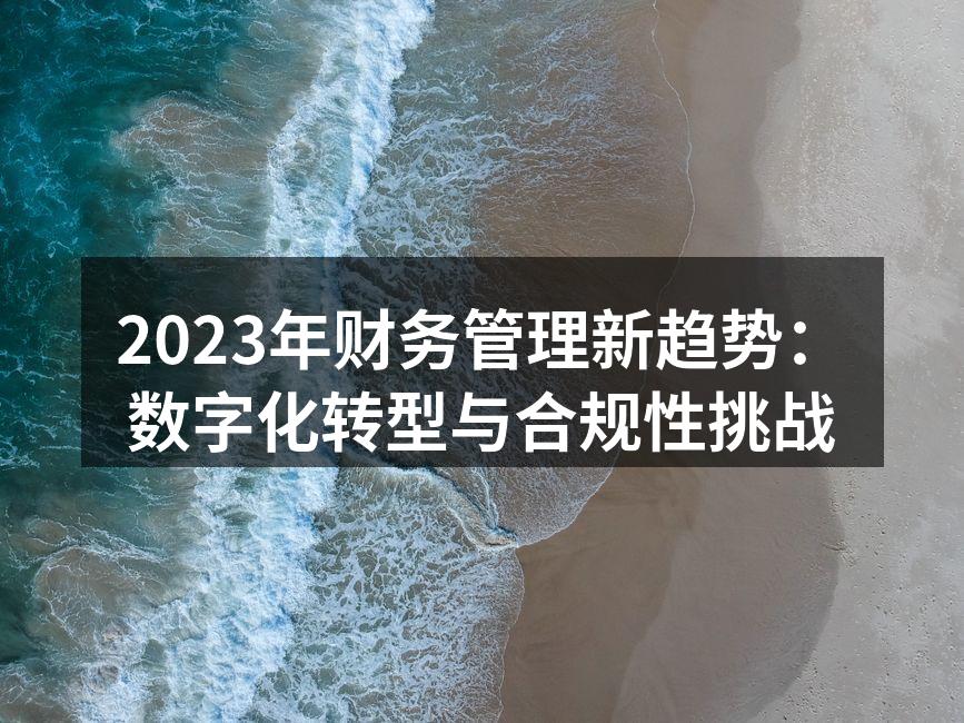 2023年财务管理新趋势：数字化转型与合