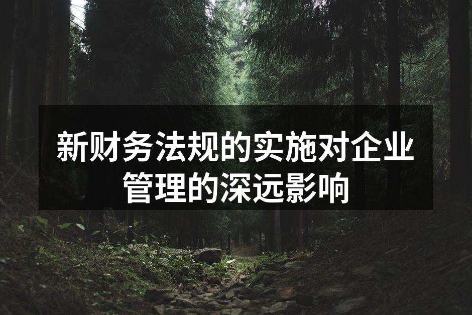 新财务法规的实施对企业管理的深远影响