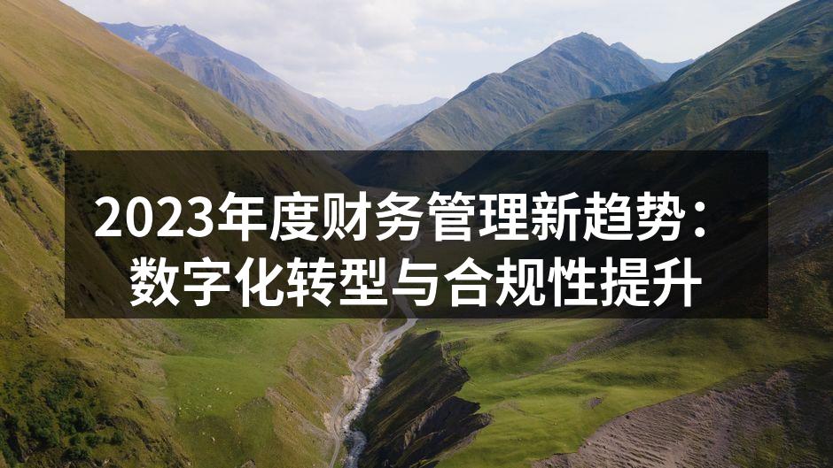 2023年度财务管理新趋势：数字化转型与