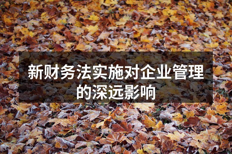 新财务法实施对企业管理的深远影响