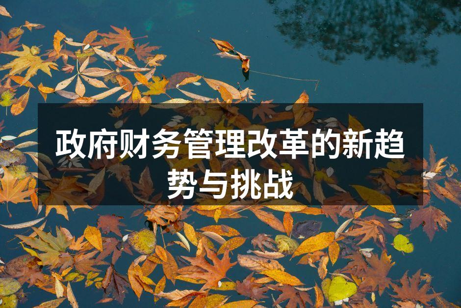 政府财务管理改革的新趋势与挑战